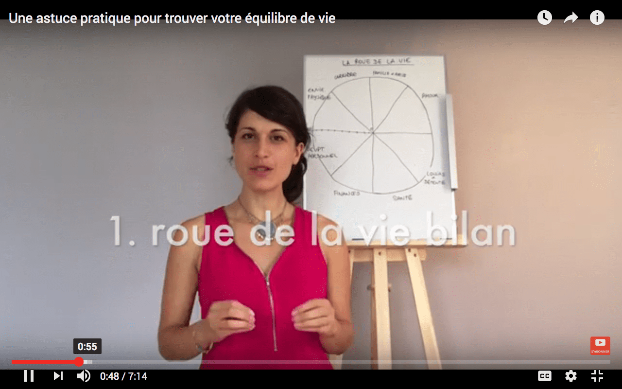 roue-de-la-vie_marion_guiset_coaching