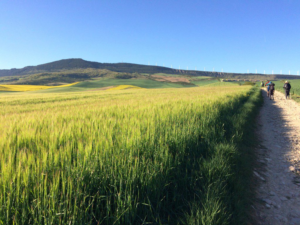 Paysage St Jacques